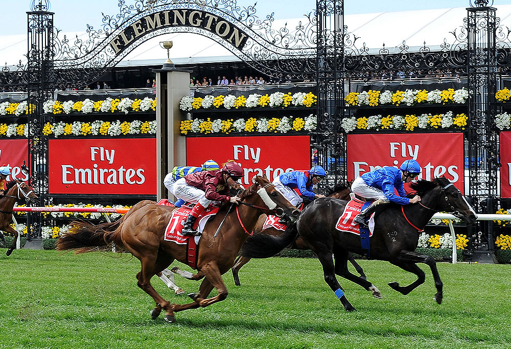 Finishing Order Melbourne Cup